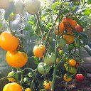 ���� �������, ������, 59 ��� - ��������� 19 ������� 2016 � ������ ���� ����������