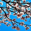  ,  -  15  2016    13    \