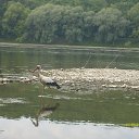 ���� ������, �������, 61 ��� - ��������� 11 ������� 2016 � ������ ���� ����������