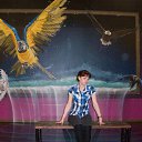 ���� �����, �����-���������, 50 ��� - ��������� 15 ����� 2016 � ������ ���� ����������