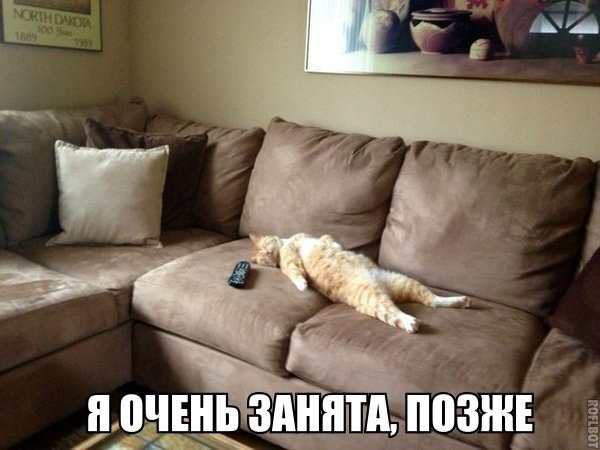        -?