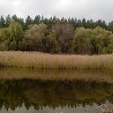 ���� ������, �������, 54 ���� - ��������� 5 ���� 2016 � ������ �������