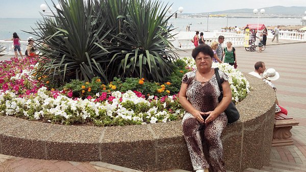 :   !!! -  , 72 , 