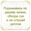  , , 61  -  28  2016    