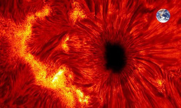    !       AR2546.