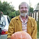 ���� ��������, ������, 67 ��� - ��������� 14 ������� 2016 � ������ ���� ����������