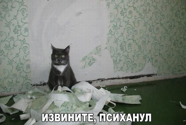    :D - 18  2016  18:03