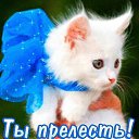 ���� ������, ����������� - ��������� 19 ���� 2016 � ������ ������ ��������