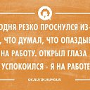 ���� �����, �����-���������, 44 ���� - ��������� 10 ���� 2016 � ������ ���� ����������