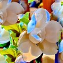  ,  -  14  2016     11-    6  ӻ