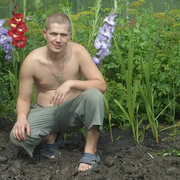 ��������, ���������, 39 ���