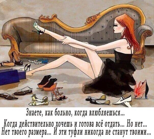   - 6  2016  12:05