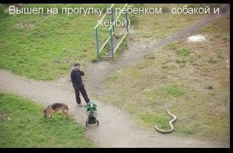   - 1  2016  00:37