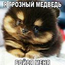 ���� �����, ������, 38 ��� - ��������� 16 ����� 2016