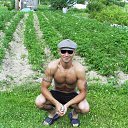 ���� ������, �����, 40 ��� - ��������� 29 ���� 2016 � ������ ���� ����������