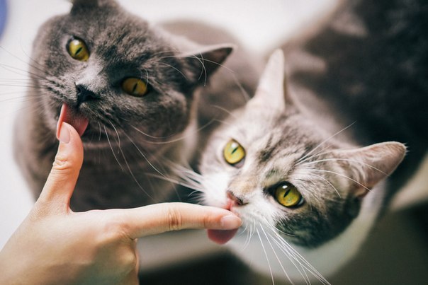   :3