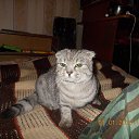 ���� Patryc, ������, 44 ���� - ��������� 21 ��� 2016 � ������ �������
