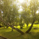 ���� ������, �����������, 69 ��� - ��������� 8 ������� 2016