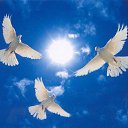 ���� ����, ������, 38 ��� - ��������� 20 ���� 2016 � ������ �������