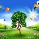  , , 61  -  20  2016    -