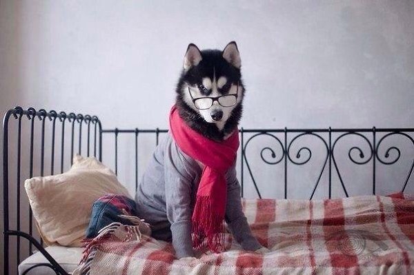 10 советов хорошего настроения.1. Чтобы у вас всегда было хорошее настроение, научитесь себя ...