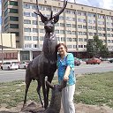 ���� �������, ������, 76 ��� - ��������� 15 ����� 2016