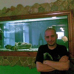 Сергей, 38, Зеленодольск
