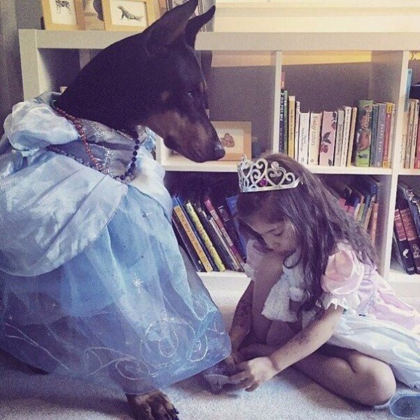 4-летняя Сиена и её четырёхлапый друг, доберман Будда - 4