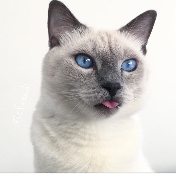 Behind blue eyes - 3
