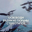 ���� �����, ������, 38 ��� - ��������� 8 �������� 2016 � ������ ���� ����������