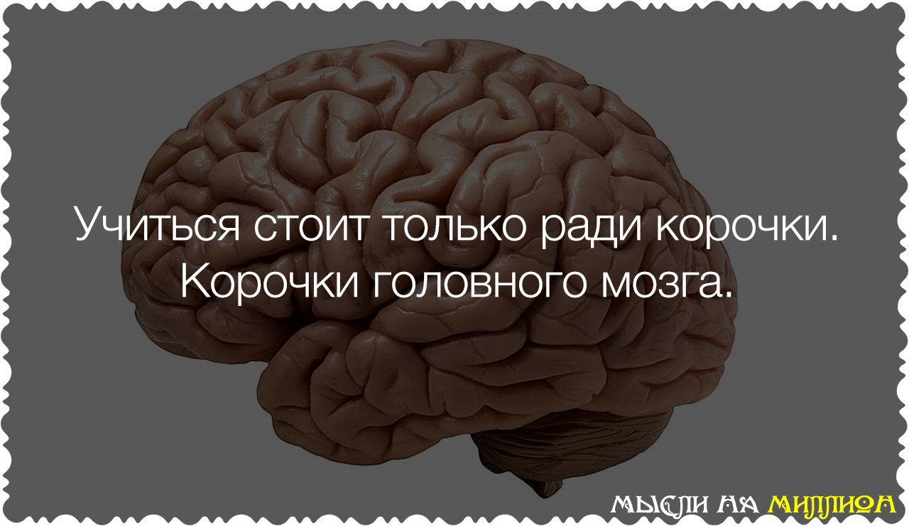 Человека который учится всю жизнь примеры