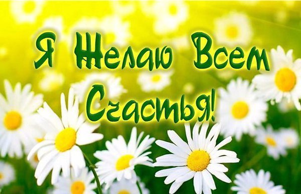 Простите меня, идеальные люди. Я много всего в этой жизни не так, Как надо, положено... Вы мои ...