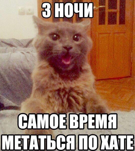 Мемы на ночь смешные