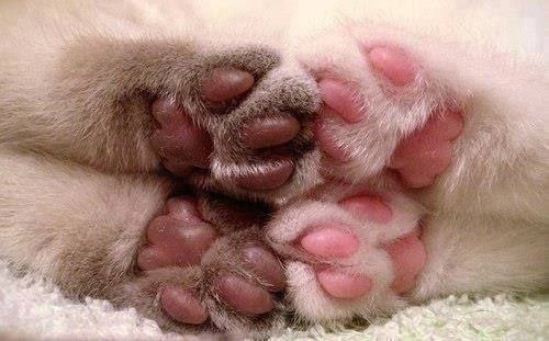 Подушечки :) - 7