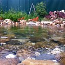 ���� ������, ������������, 65 ��� - ��������� 31 ����� 2016 � ������ ���� ����������