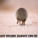 ���� �������, �������, 56 ��� - ��������� 26 ������ 2016 � ������ ������ ��������