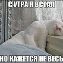 ���� ������, �������, 30 ��� - ��������� 18 ������� 2016