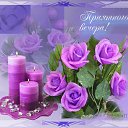  ...,  ...tanya,  -  11  2016    ߻