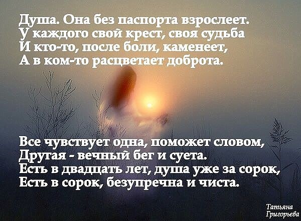  ... - 13  2016  13:15