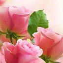 ���� �����, �����-��������� - ��������� 5 �������� 2016 � ������ ������ �����..... � ������� !!!....�