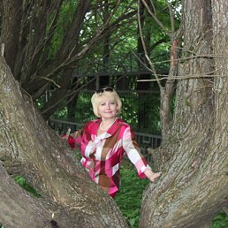 ���� ��������, �������, 58 ��� - ��������� 30 ���� 2016