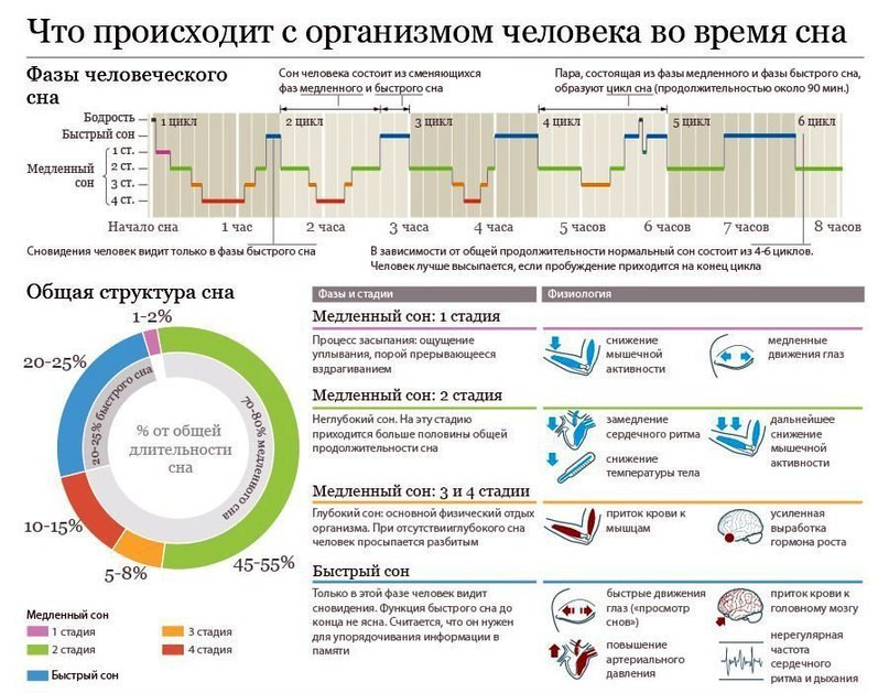 Сон. Физиология сна. Сон – универсальное явление живой природы. Это физиологическая потребность ...