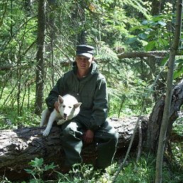 ������, �����������, 43 ����