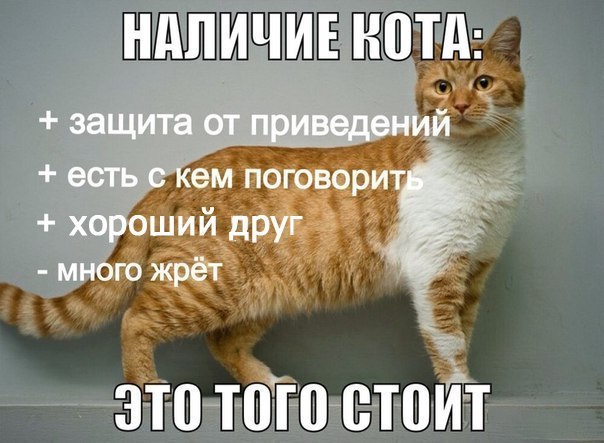    - 26  2016  07:16