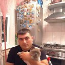 ���� �����, �������, 43 ���� - ��������� 2 ��� 2016
