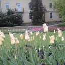 ���� �������, �����-���������, 73 ���� - ��������� 30 ������ 2016 � ������ ������� ��������, �����