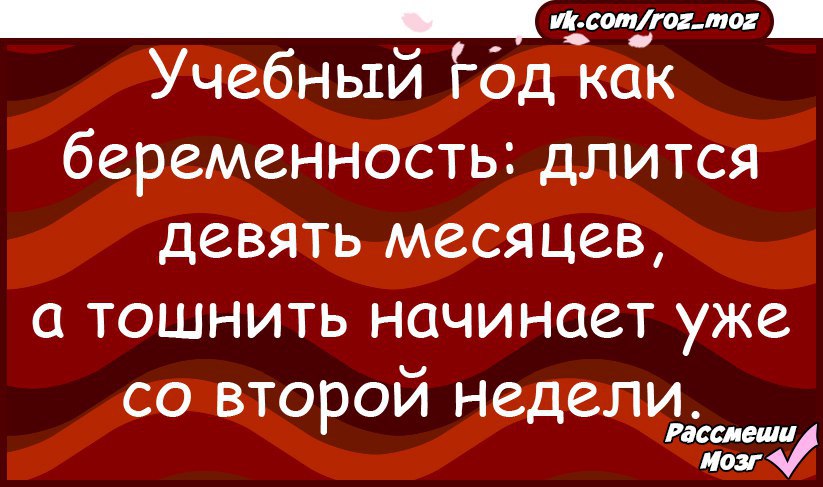 3 года длилась. Учебный год как беременность. Учебный год длится 9 месяцев а тошнит на второй. Учебный год как беременность длится 9 месяцев а тошнит на второй. Тошнить начинает со второй недели учебный год.