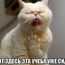���� Alekcandr, ������ - ��������� 20 ��� 2016 � ������ ���� ����������