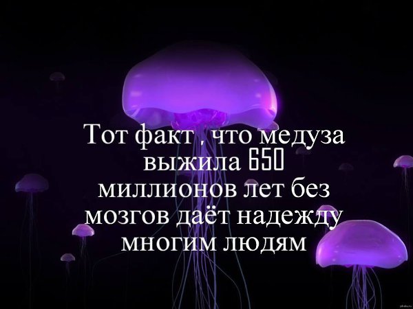 .  !