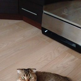 ���� Olga, ������, 46 ��� - ��������� 10 ��� 2016